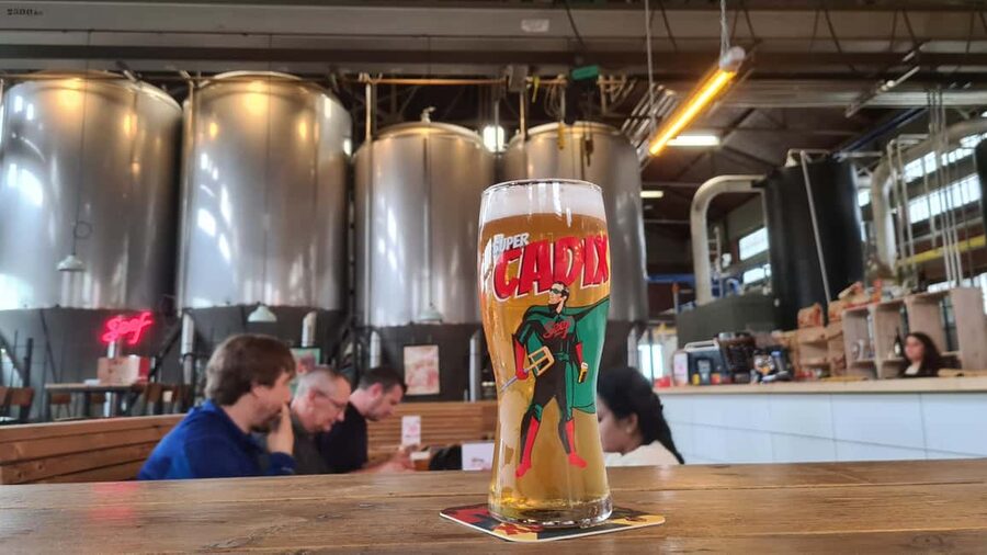 Antwerp: Pub Crawl in the Historical City - What the $106 price really buys