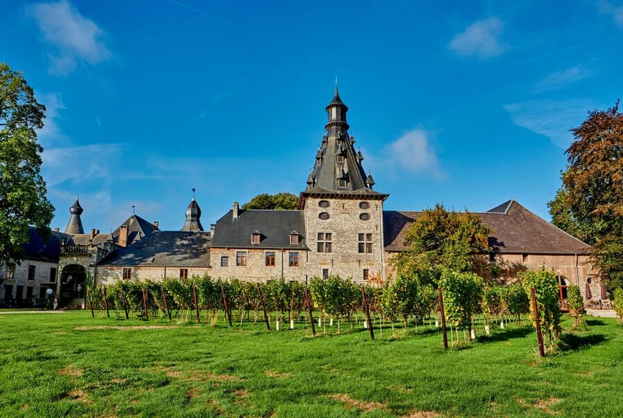 Bioul (near Dinant) : Château de Bioul Tour and Wine Tasting - Why Château de Bioul Makes a Good Day Out