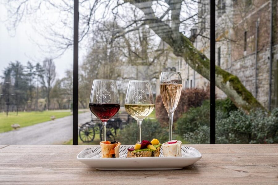 Bioul (near Dinant) : Château de Bioul Tour and Wine Tasting - The Family Story Behind the Estate