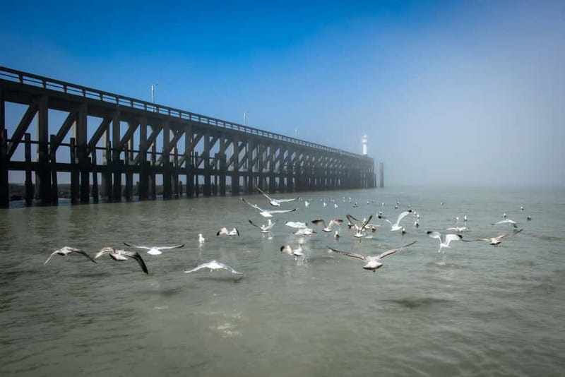 Blankenberge: Offshore Wind Farm Tour by Boat - Booking flexibility and practical planning