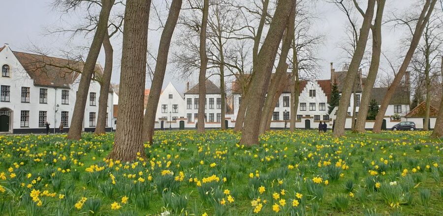 Bruges: 2.5-Hr Walking Tour from train station to Markt - Key points at a glance