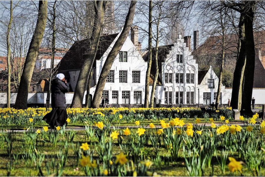 Bruges Beer and Chocolate Walking Tour - Key points about the Bruges beer and chocolate walk