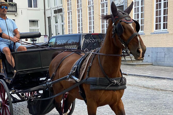 Bruges by a Local: Exciting Stories, Mysteries, People and Choco - The Belfort and Burg Square: Bruges in public view