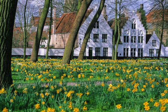 Bruges by bike with friends and family! - Key Points Before You Book