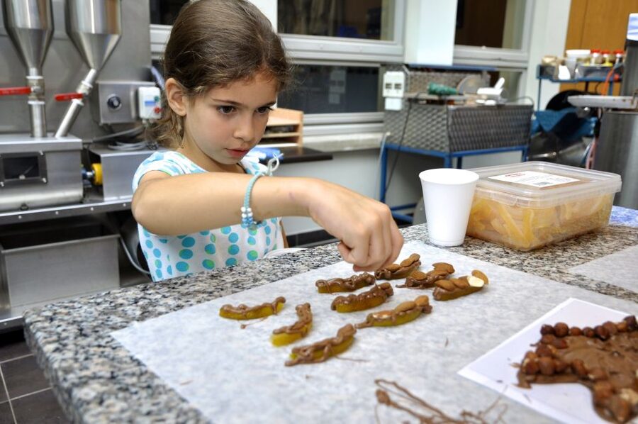 Bruges: Chocolate Making Workshop and Chocolate Museum Entry - Why the workshop works for adults and children