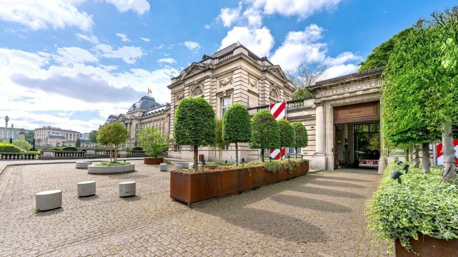 Brussels: BELvue Belgium History Museum Entry Ticket - Who will get the most from this museum?