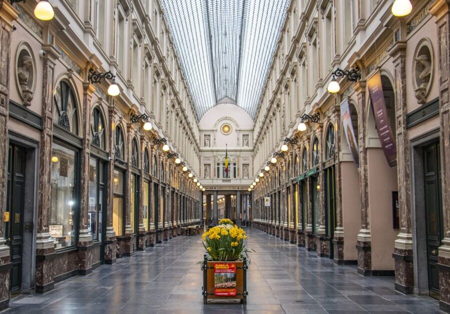 Brussels: Capture the most Photogenic Spots with a Local - Key points at a glance