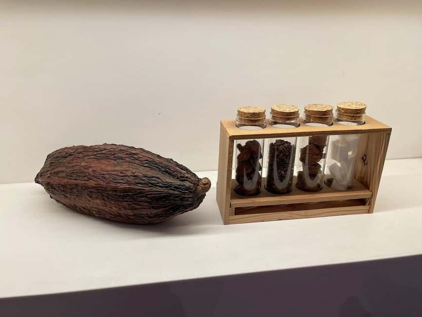 Brussels: Chocolate Appreciation and Tasting Walking Tour - Key points to know before booking