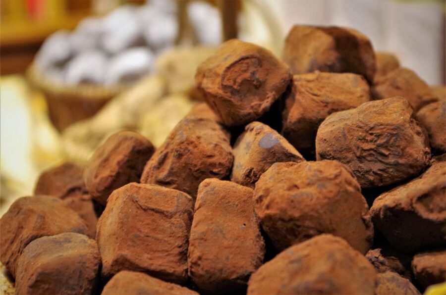 Brussels: Chocolate Workshop and Guided Walking Tour - The guides shape the whole afternoon