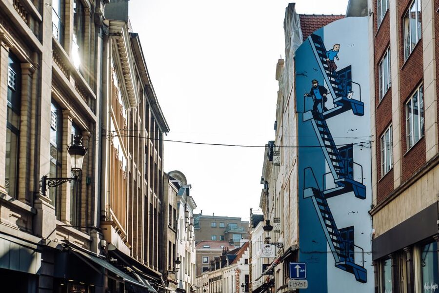 Brussels Comics & Street Art: Private Walking Tour - Starting at Zuidstation and meeting your guide