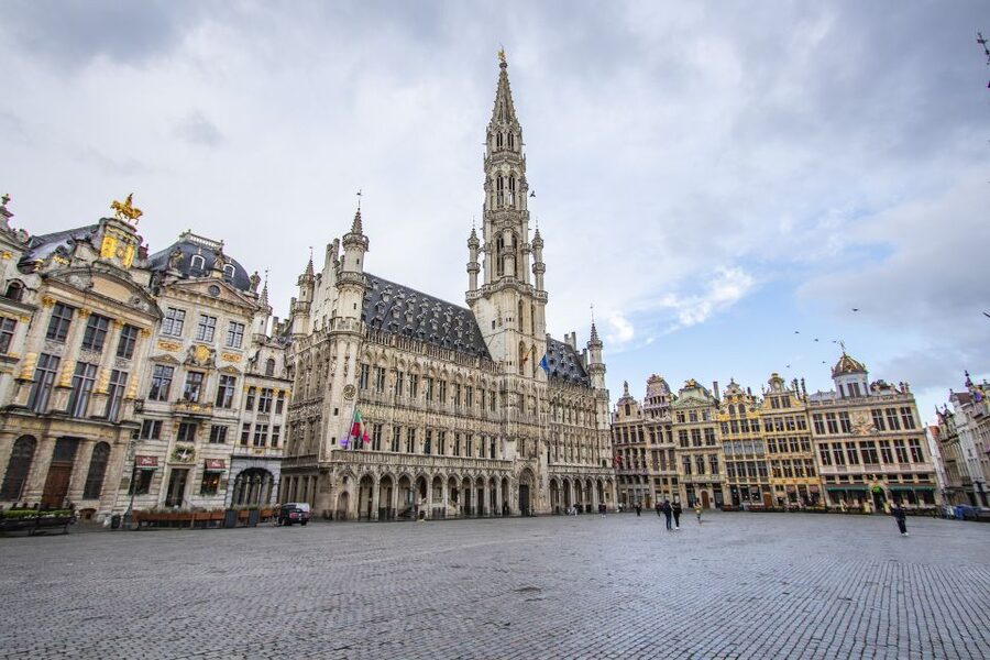 Brussels: Express Walk with a Local in 60 minutes - A quick first look at Brussels