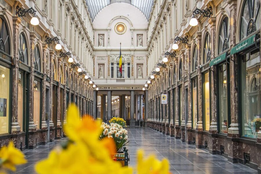 Brussels: Express Walk with a Local in 60 minutes - Meeting at YellowKorner