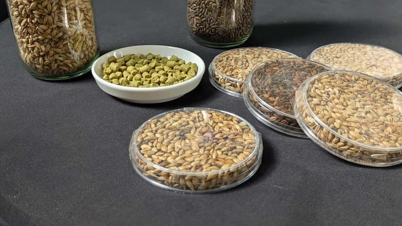 Brussels: micro brewery & distillery tour + beer tasting - Key things to know before you go