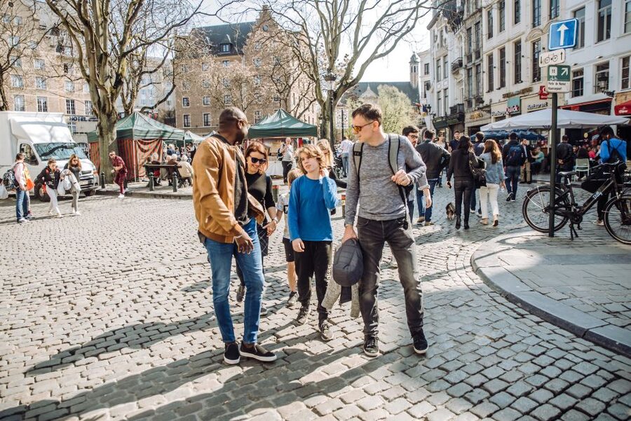 Brussels: Private Tour of the European Quarter - Parc du Cinquantenaire and the older Brussels around it