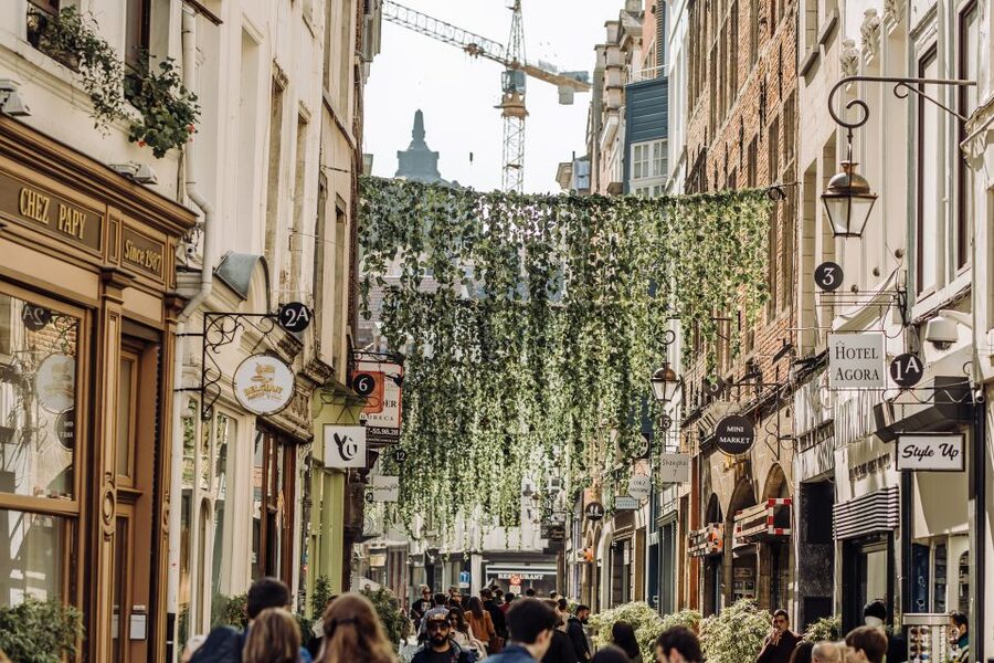 Brussels: Private Tour of the European Quarter - What $121 per person buys you