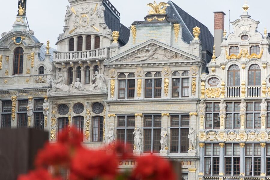 Brussels: Private Tour of the Upper and Lower City - Starting at Grand Place in the Lower City