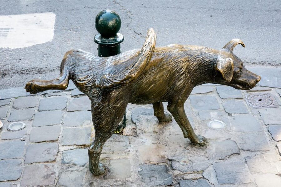 Brussels: Secret Paths and Stories Private Walking Tour - Boulevard Barthélémy, old streets meeting new uses