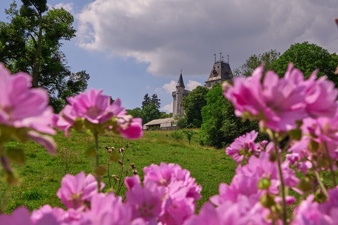 Castle Guided Tour (English) - The park and the chance to stay longer