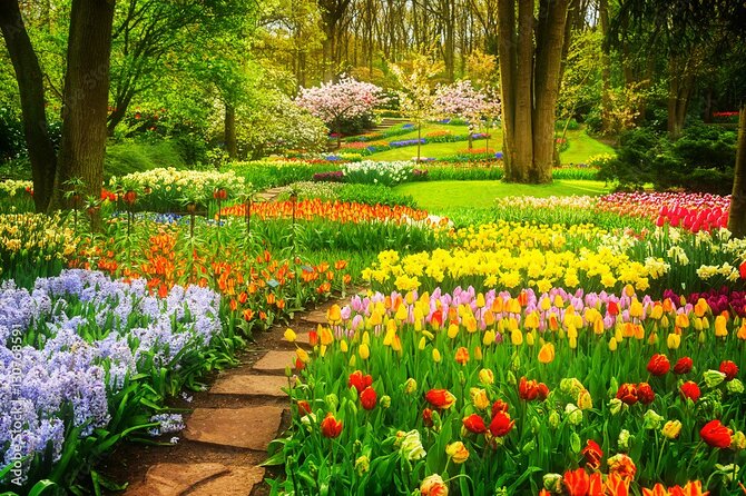 Delft and Keukenhof Gardens Tour from Brussels - What your Delft time is really like