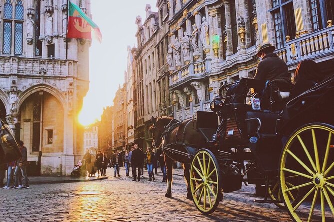 Evening Tour: The Dark Side of Brussels - What The Dark Side Of Brussels really delivers