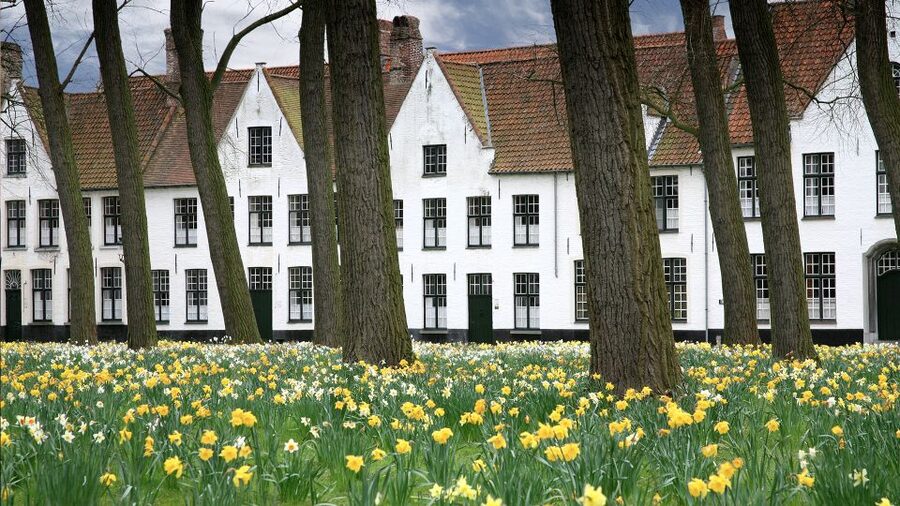 From Amsterdam: Bruges Day Trip in English with Boat Option - Canals, brick towers, and the Church of Our Lady