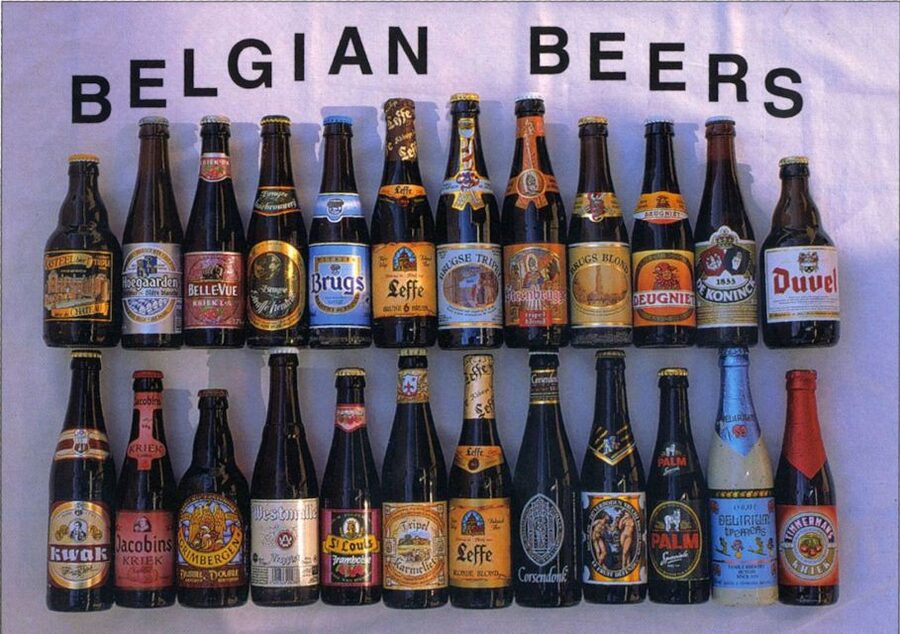 From Amsterdam: Day Trip to Bruges in Spanish or English - Who will enjoy this Bruges day trip?