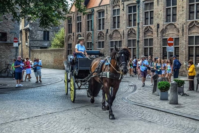 From Amsterdam: Private Sightseeing Tour to Bruges - First impressions of Bruges