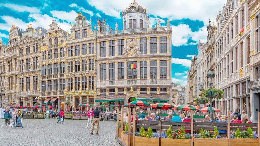 From Amsterdam: Private Sightseeing Tour to Brussels - The $547 price and who gets good value