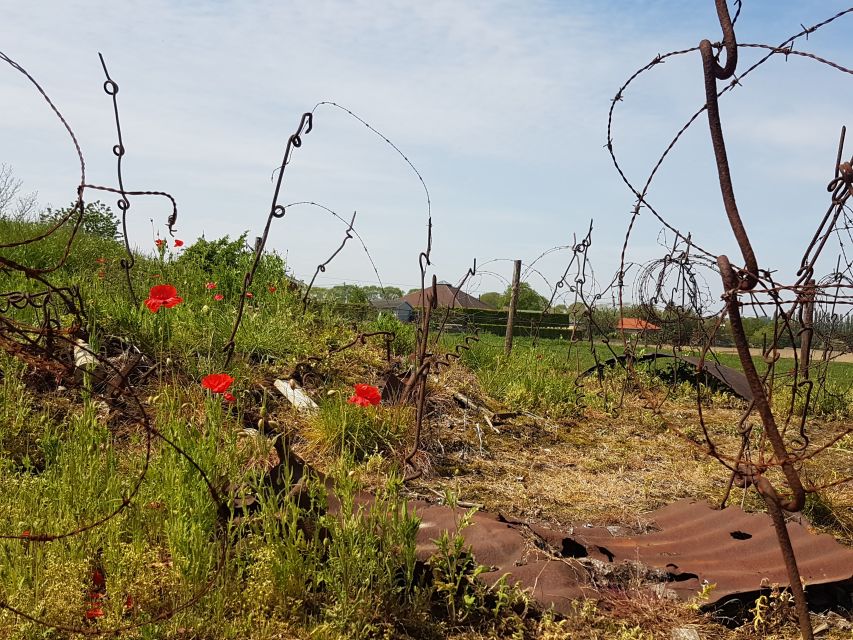 From Bruges: Great War Flanders Fields Minibus Tour w/ Lunch - Trenches, bunkers, and the remains of battle