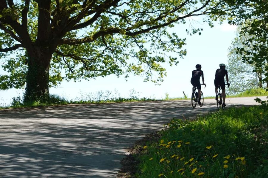 From Brussels to Flanders 100km road cycling tour - How the Private Format Changes the Day