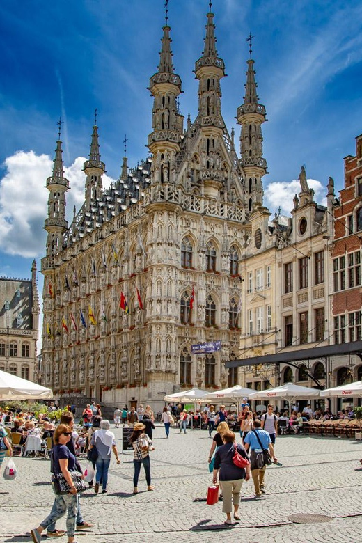 Historical Leuven: Private Walking Tour with a Local Guide - Who will get the most from this tour
