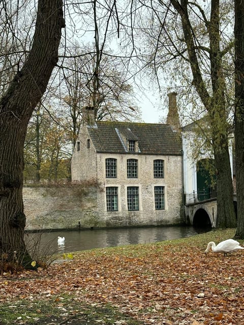 Historical walk in Bruges with local guide. Praline included - Tanners Square and the brewery quarter