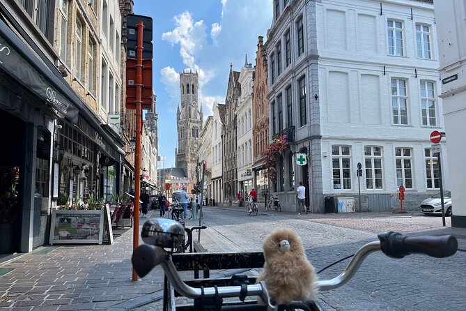 Private Full-Day Tour Bruges & Ghent from Brussels with tastings - Private transport from Brussels