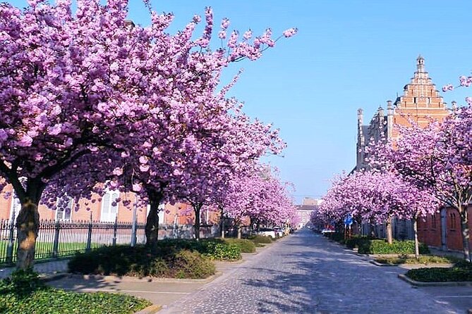 Private Hidden Gems Walking Tour in Ghent - Price, timing, and practical planning