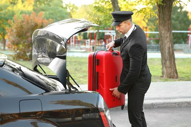 Private One-way Brussels Airport Transfer To Brussels - Choosing the Right Vehicle and Extra Equipment