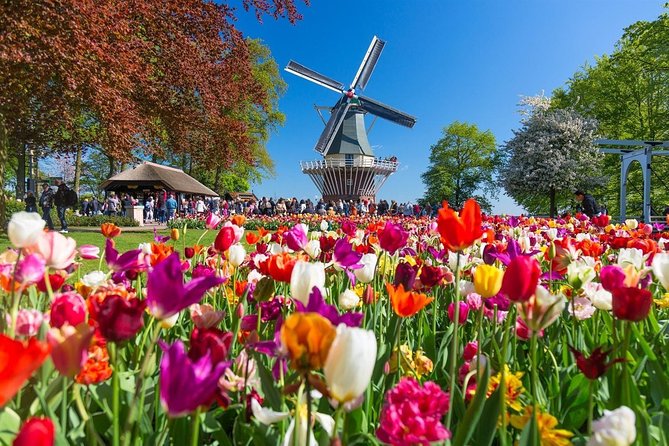 Private Transfer from Brussels to Amsterdam - Key points at a glance