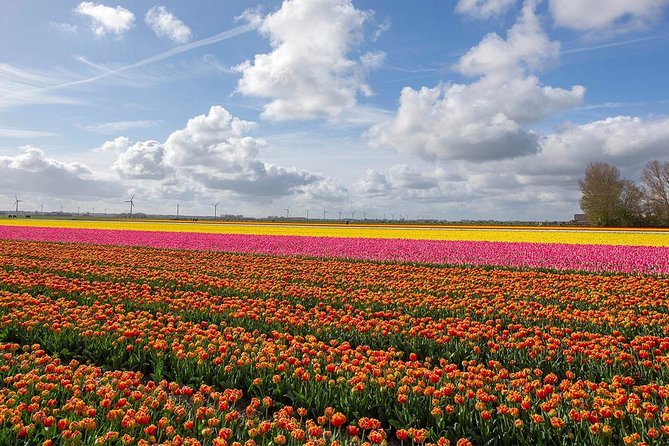 Private Transfer from Brussels to Amsterdam - What the two-to-three-hour ride feels like