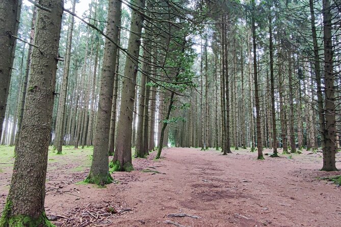 The Battle of the Bulge Experience - A day tour from Brussels - Bizory and the Easy Company Connection