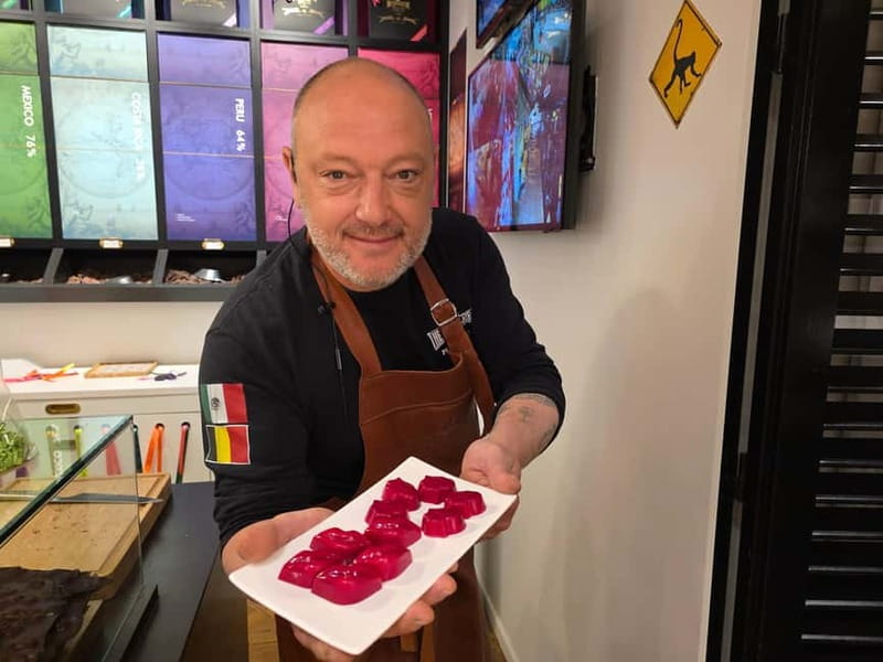 Thé best chocolate in Bruges! Private tour! - Key points to know before booking