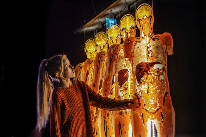 Ticket Expo Body Worlds in Bruges, Belgium - The anatomical mirror and other interactive features