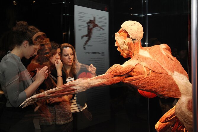 Ticket Expo Body Worlds in Bruges, Belgium - A respectful approach to donated bodies