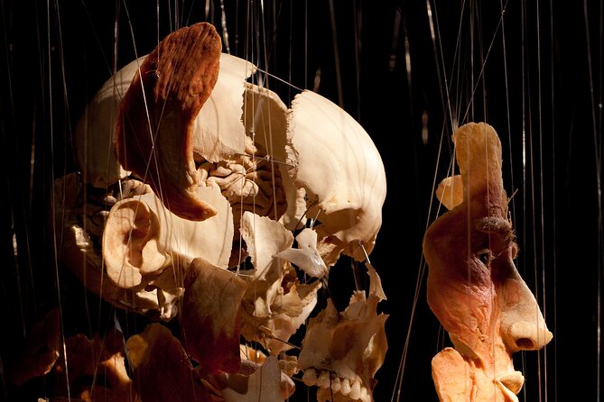 Ticket Expo Body Worlds in Bruges, Belgium - How long the visit takes in practical terms